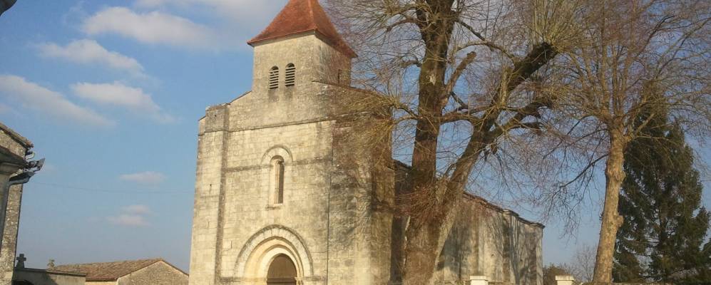 
            Фотография Сер