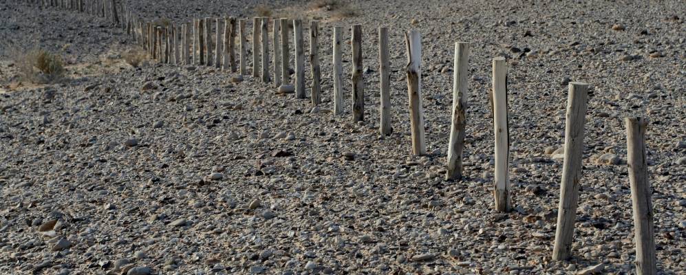 
            Фотография Махане Зофара