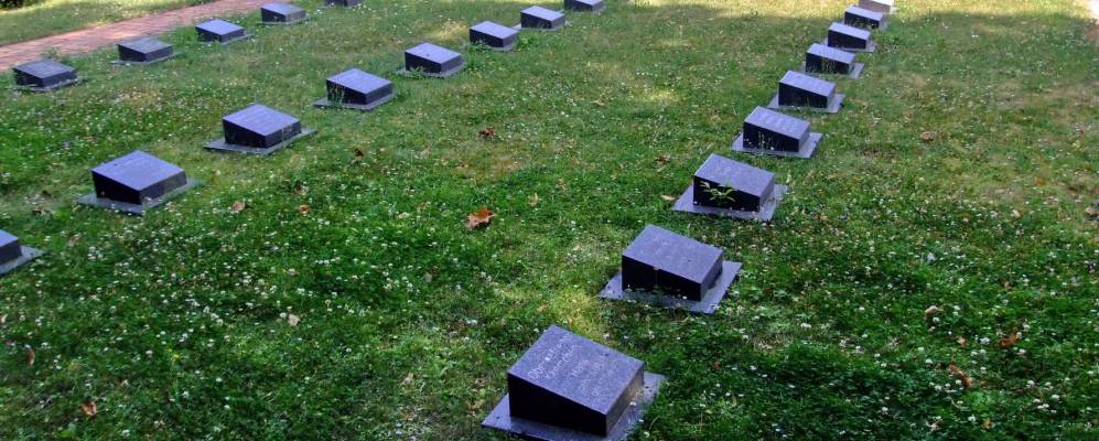 
            Фотография Бире