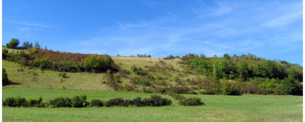 
            Фотография Бри-э-Ангонна