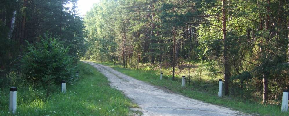 
            Фотография Меньшиково