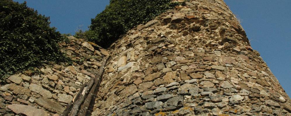 
            Фотография Вергонгеона