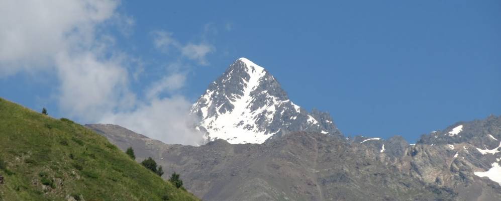 
            Фотография Сатата