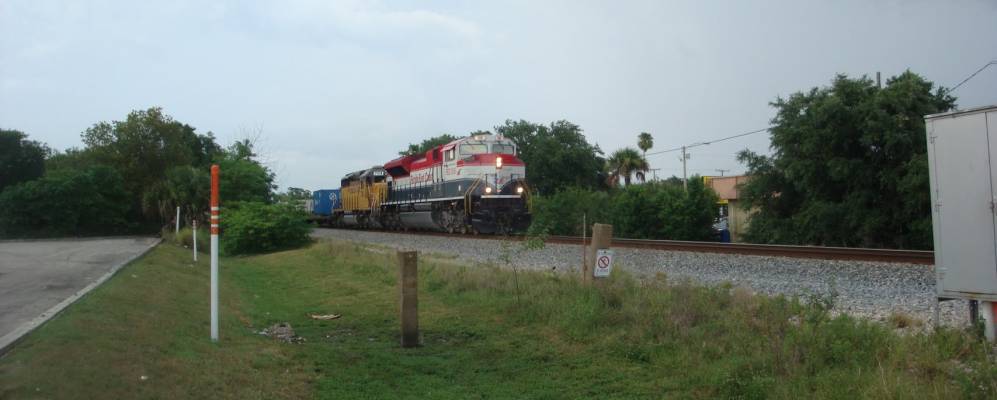 
            Фотография Какао