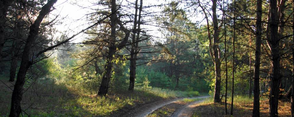 
            Фотография Китайгорода