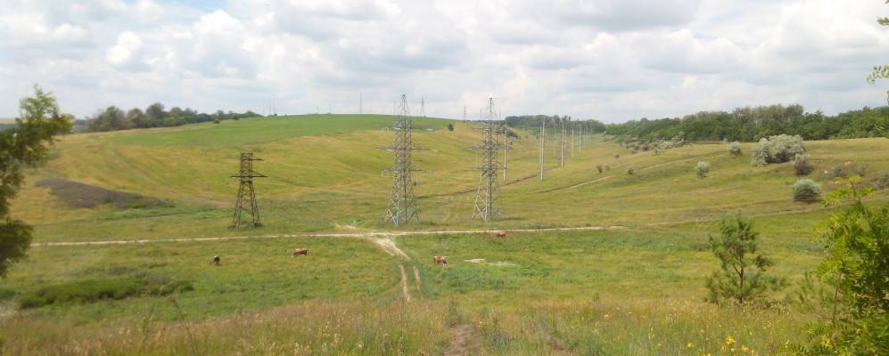 Фотография Волохова