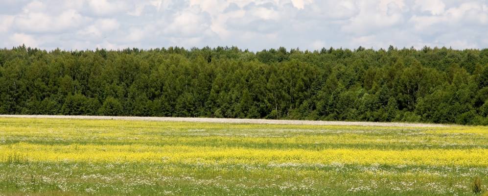 Фотография Пановки