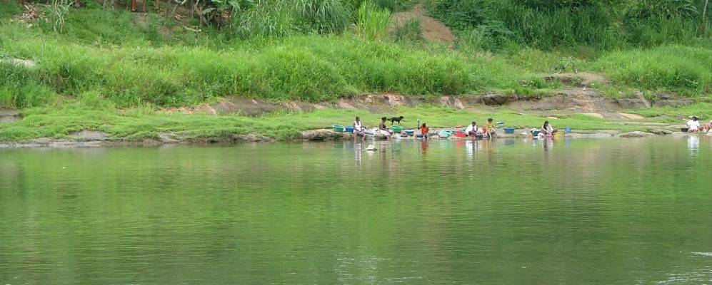 
            Фотография Роса Сарате