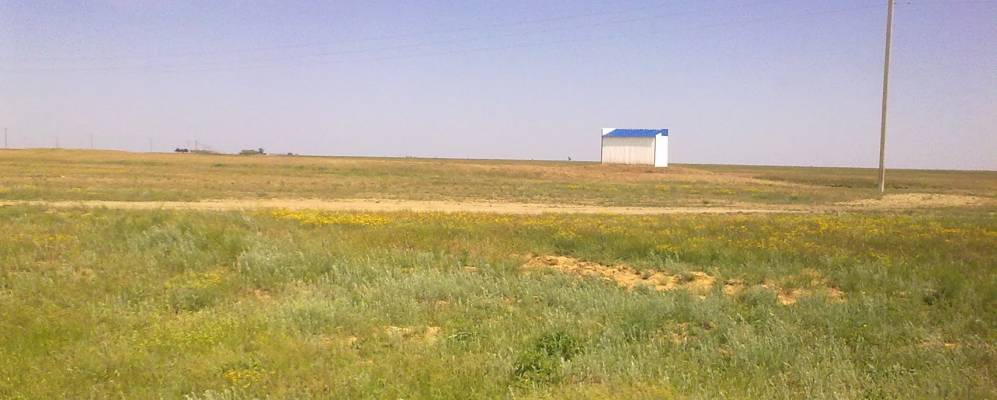 
            Фотография Сапункова