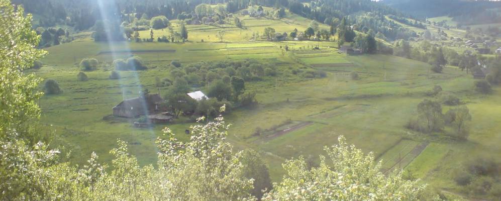 
            Фотография Закичера