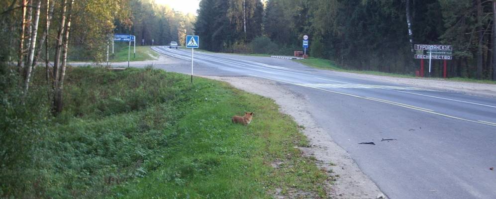 Фотография Бецкого