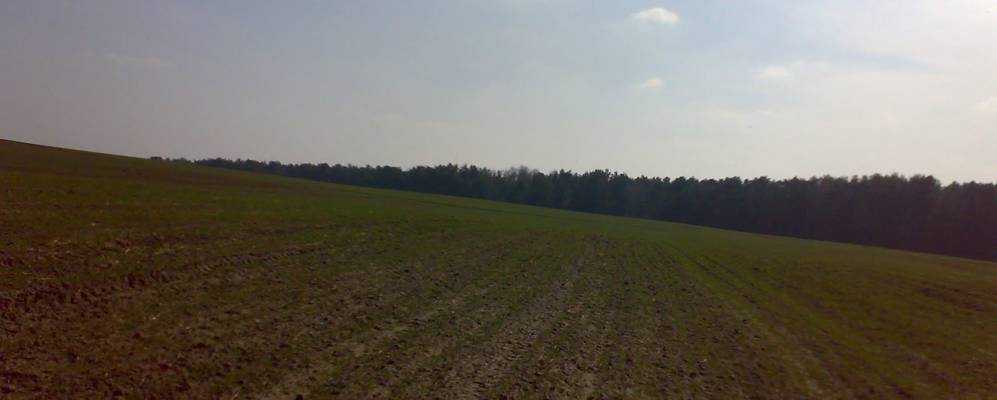 
            Фотография Рачина