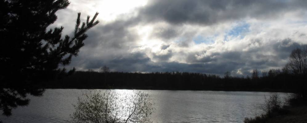 
            Фотография Гаврино