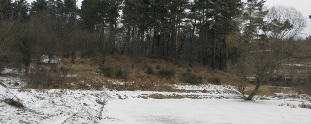 
            Фотография Збиранки