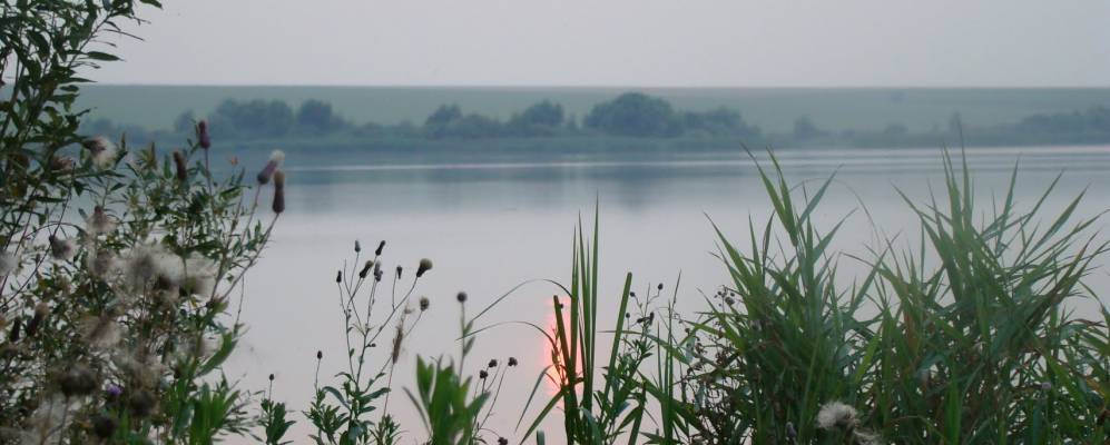 
            Фотография Горностаевских Выселок