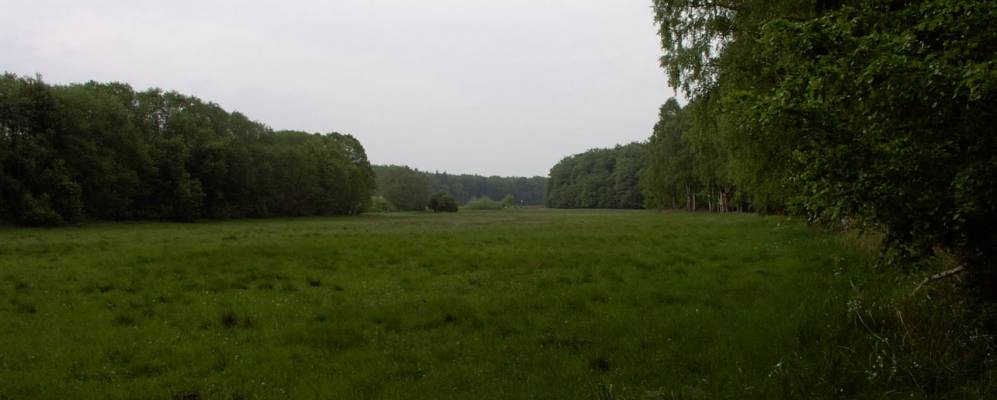 
            Фотография Фредебурга