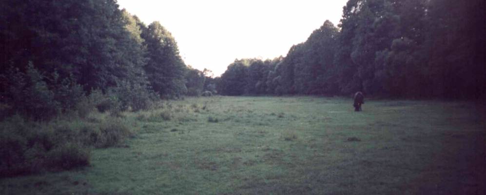 
            Фотография Николаевки