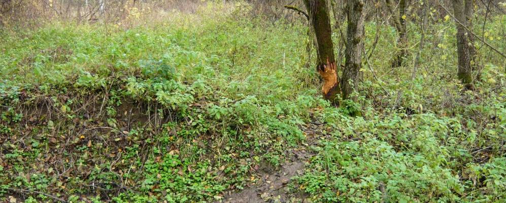 Фотография Беляйково