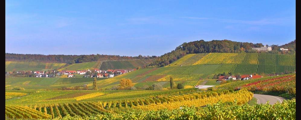 
            Фотография Ловенштайна