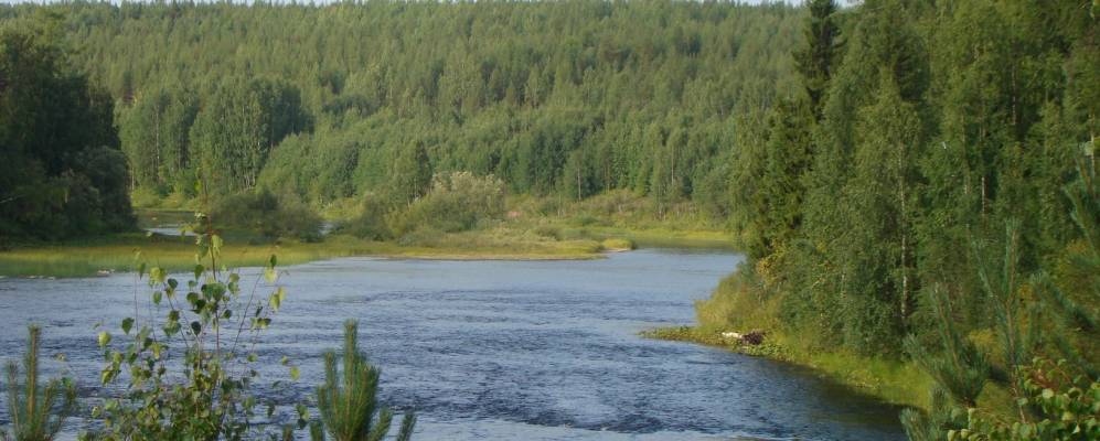 
            Фотография Пытыръю