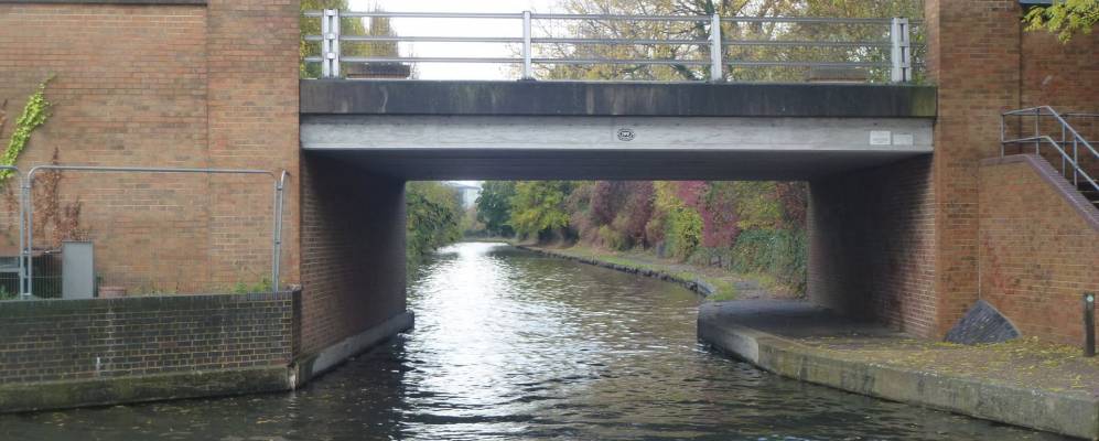 
            Фотография Хайес