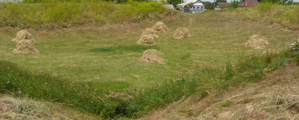 
            Фотография Проточи