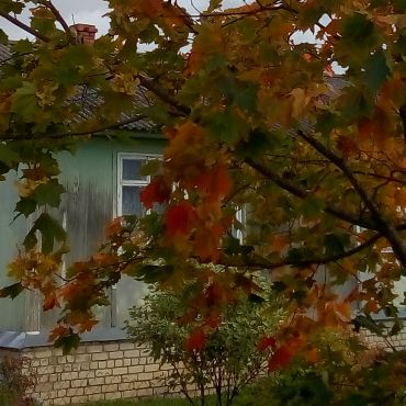 Кокошилово