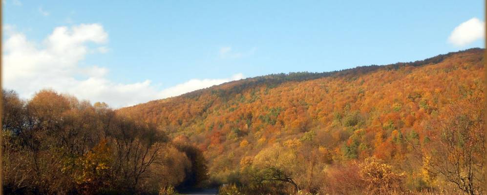 
            Фотография Симера