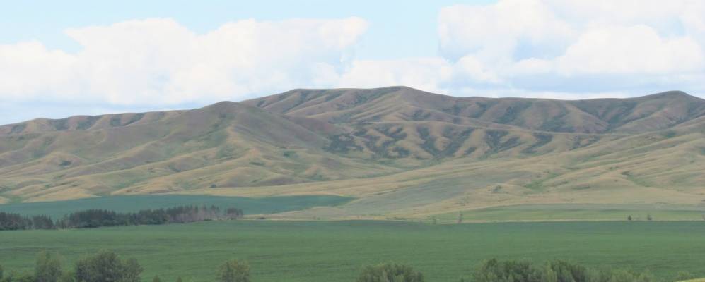 
            Фотография Родников