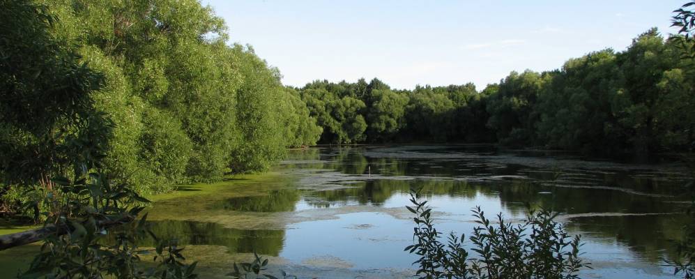 
            Фотография Усово