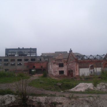 Колодистое