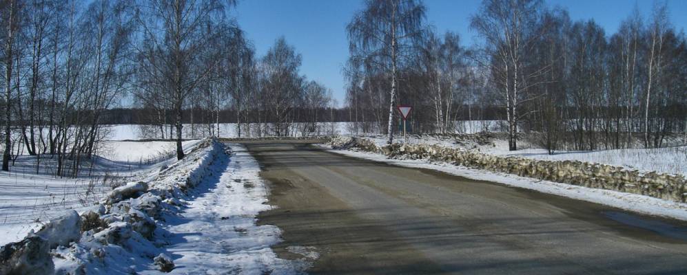 
            Фотография Шишкино