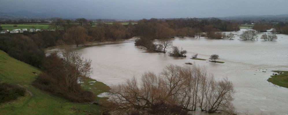 
            Фотография Рхаддлана