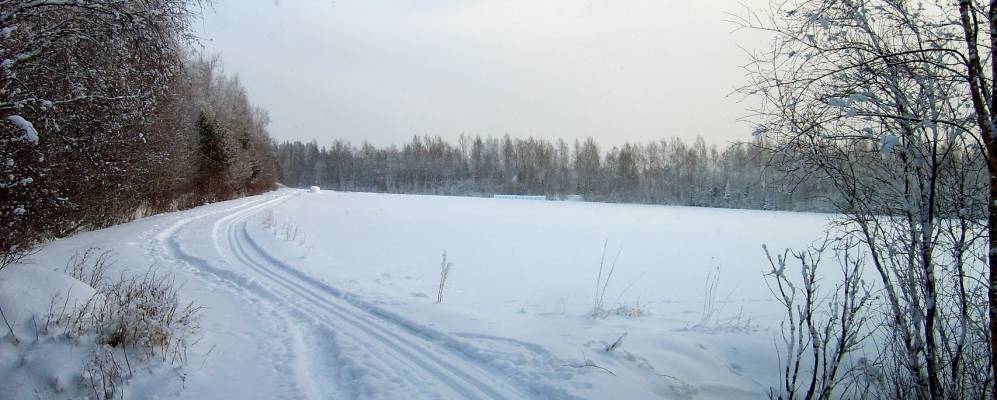 
            Фотография Педерсорен Кунты