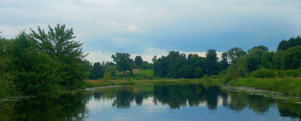 
            Фотография Несолони