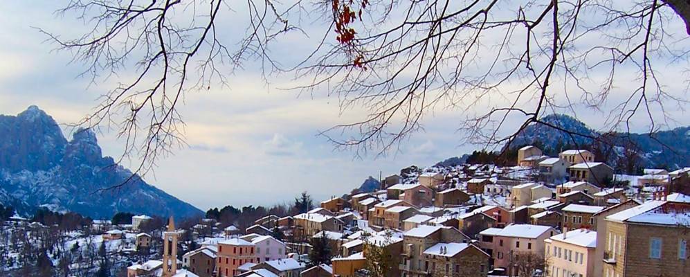 
            Фотография Эвиза