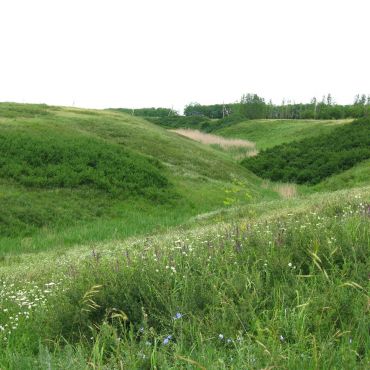 Старопетровский