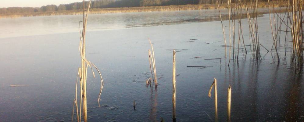 
            Фотография деревни Мушичи