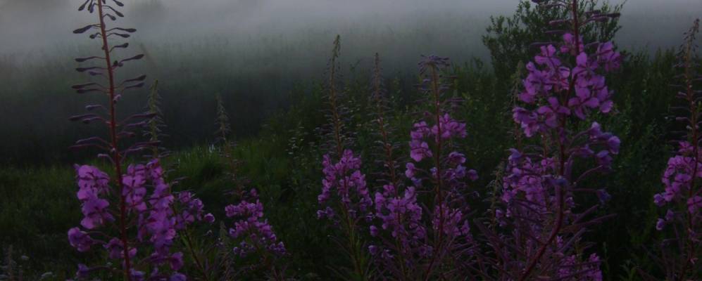 
            Фотография Устюцкого