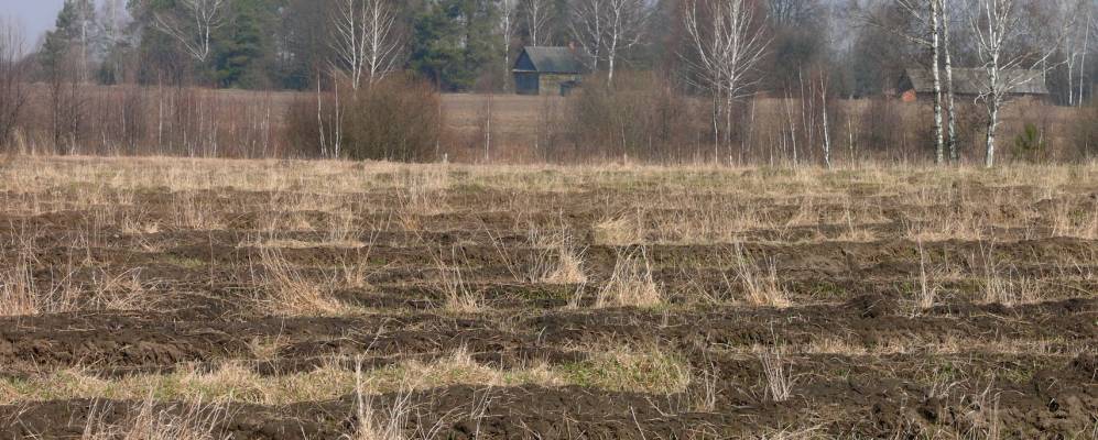 
            Фотография деревни Марковичи