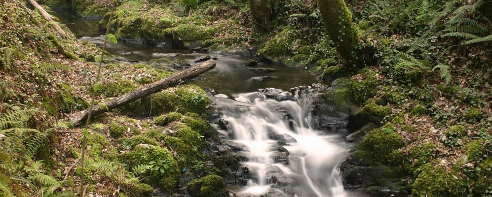 
            Фотография Падерне