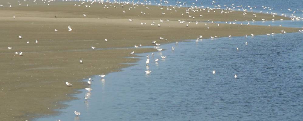 
            Фотография Лё-Кротуа