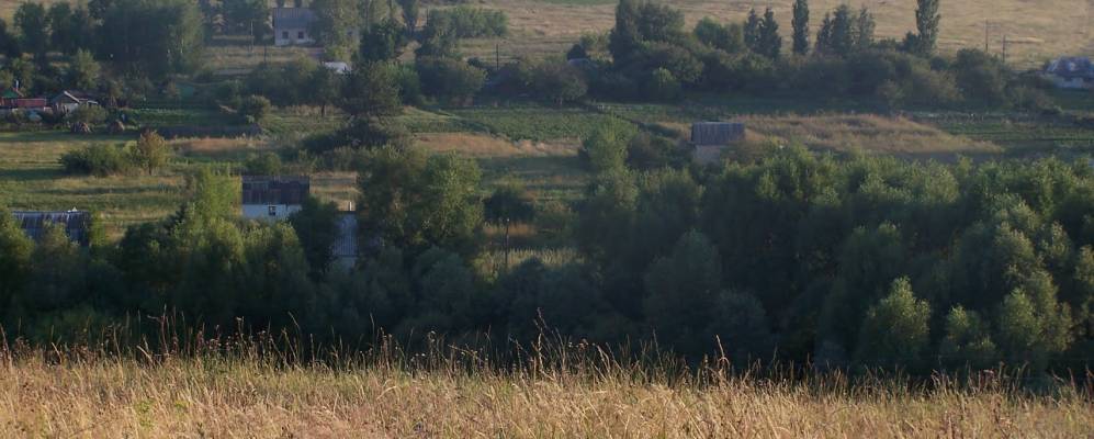 
            Фотография Дальнего Ляпино