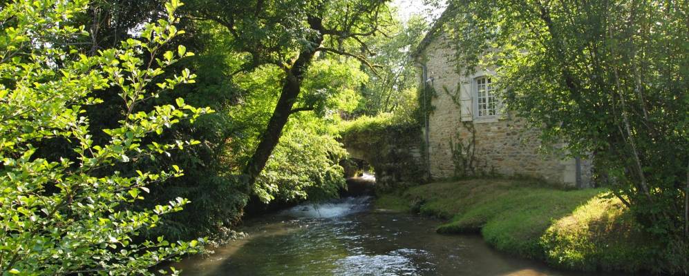 
            Фотография Гана