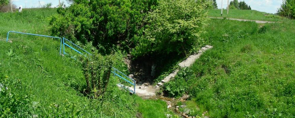 
            Фотография Малиновки