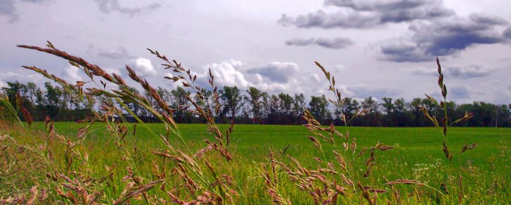 
            Фотография Тихвинки