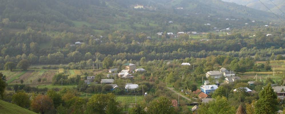 
            Фотография Межброд