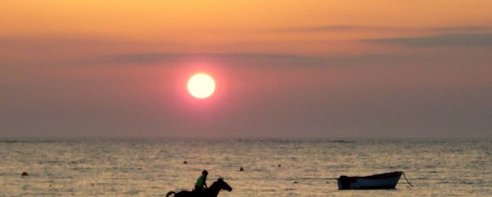 
            Фотография Килки