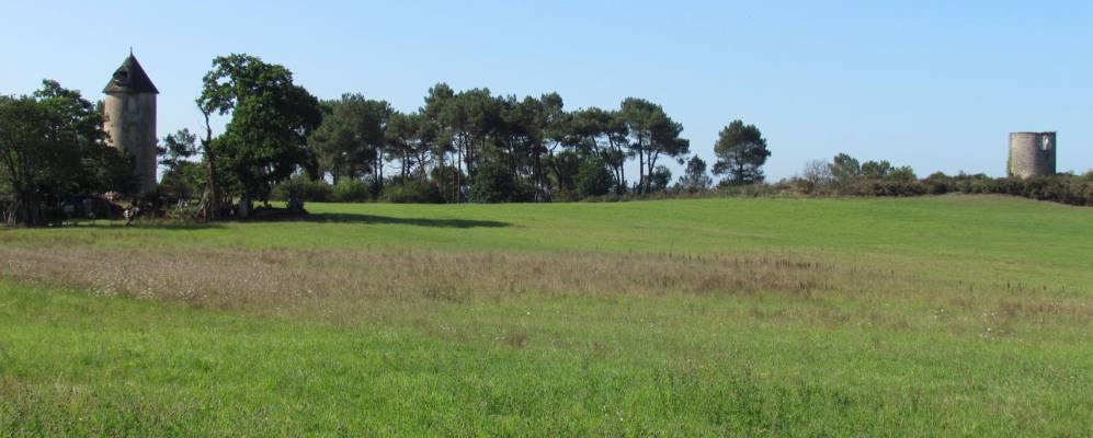 
            Фотография Сент - Мари