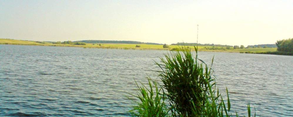 
            Фотография Акимова